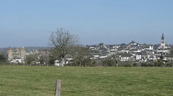 Monte Escalier Solution Monte escalier Ombrée d'Anjou