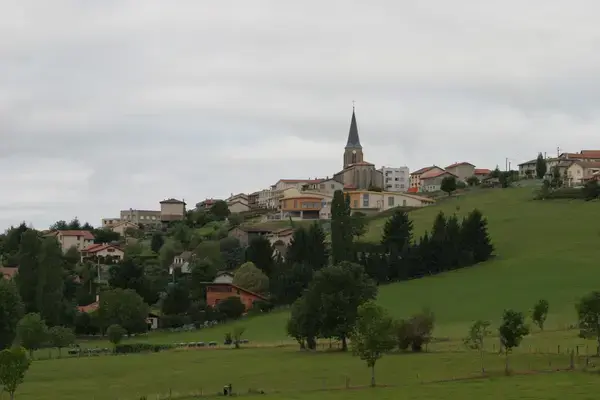 Monte Escalier Solution Monte escalier Saint-Christo-en-Jarez