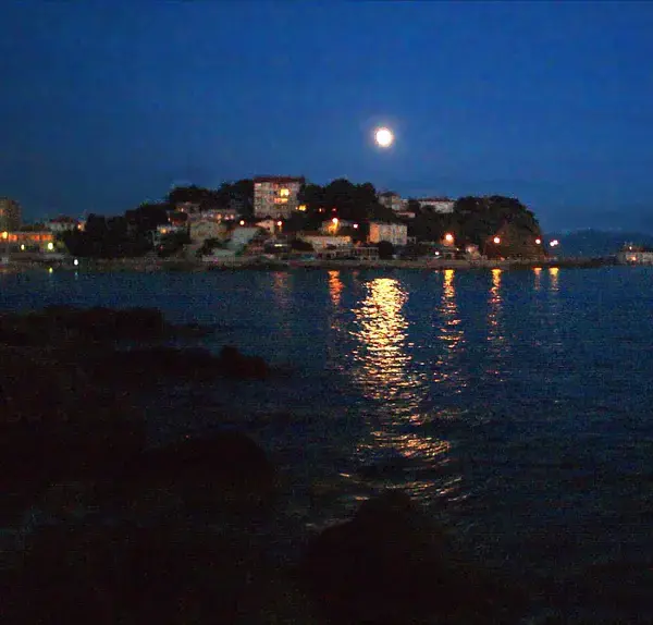 Solutions Monte Escalier Pose monte escalier Bandol