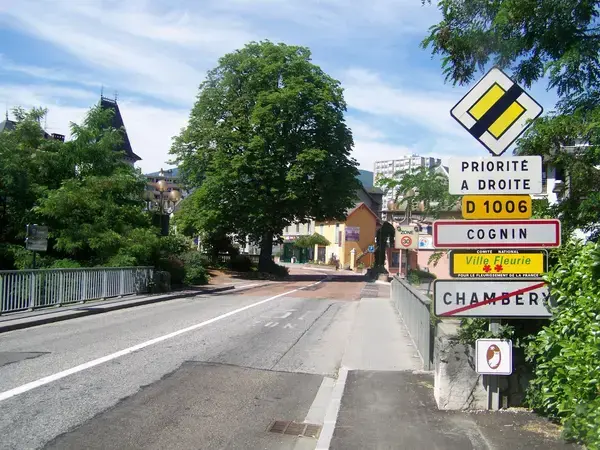 Solutions Monte Escalier Pose monte escalier Cognin