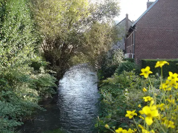 Solutions Monte Escalier Pose monte escalier Déville-lès-Rouen