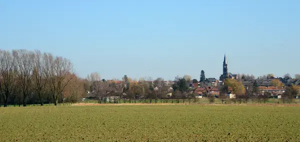 Solutions Monte Escalier Pose monte escalier Halluin