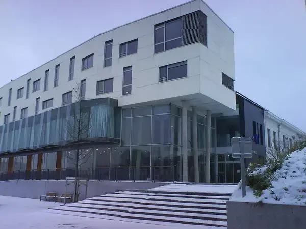 Solutions Monte Escalier Pose monte escalier Haubourdin