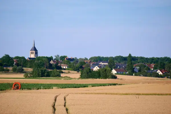 Solutions Monte Escalier Pose monte escalier Mardié