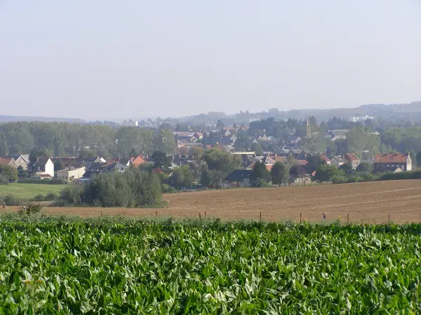 Solutions Monte Escalier Pose monte escalier Marpent