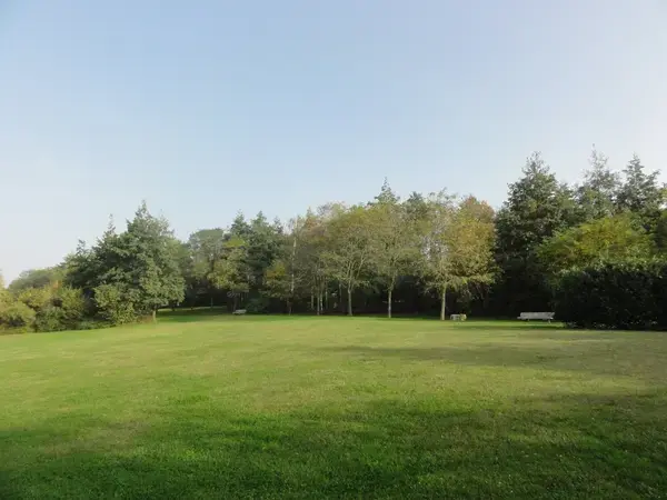 Solutions Monte Escalier Pose monte escalier Montigny-en-Gohelle