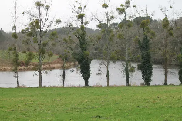 Solutions Monte Escalier Pose monte escalier Muzillac