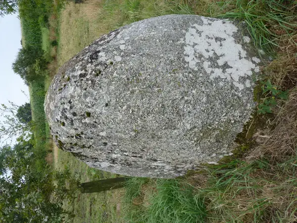 Solutions Monte Escalier Pose monte escalier Plaintel
