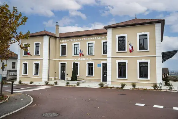 Solutions Monte Escalier Pose monte escalier Satolas-et-Bonce