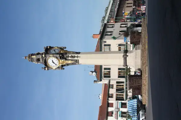 Solutions Monte Escalier Pose monte escalier Tassin-la-Demi-Lune